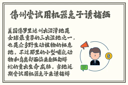 **大平公主秘史